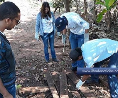 Vigilância captura mais de 100 escorpiões na Horta dos Aposentados; Risco de “transporte” em verduras existe