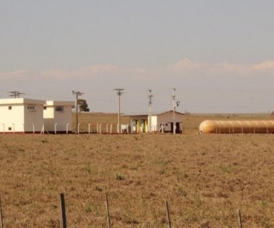Com investimentos, suinocultura de Brasilândia tem maior rendimento no País