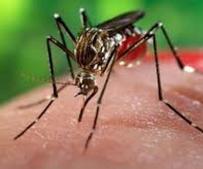 Saúde de MS confirma primeiros dois casos de febre chikungunya em 2016