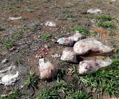Polícia Civil investiga descarte irregular de carne nas proximidades do Aeroporto de Três Lagoas