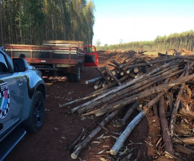Quarteto é flagrado tentando furtar madeiras de fazenda e são presos pela Força Tática de Três Lagoas