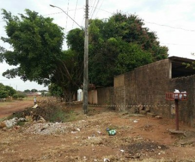 Ataque de abelhas causam pânico nos moradores do bairro Vila Nova 