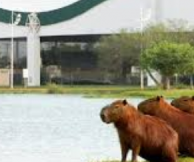 Mínima pode chegar a 19ºC em Três Lagoas neste domingo 