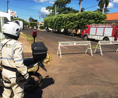Rua do centro de Três Lagoas é interditada após ataques de abelhas 