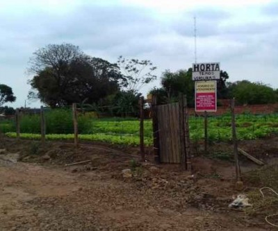 Tragédia: criança de 3 anos morre eletrocutada ao segurar em cerca de horta da família