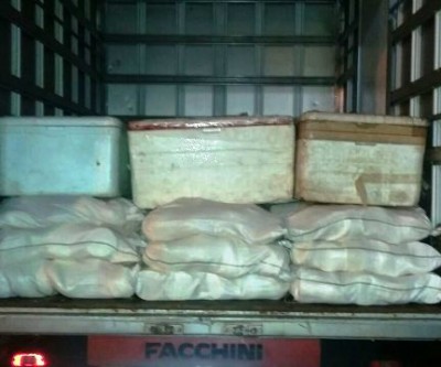 PRF apreende mais de 1 tonelada de queijo caipira impróprio para o consumo 
