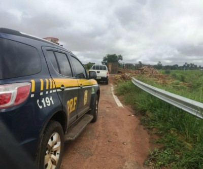 Carreta carregada com eucaliptos tomba em rotatória de Três Lagoas