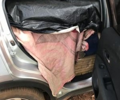 Polícia Federal apreende 900 quilos de maconha que seria levado para Três Lagoas