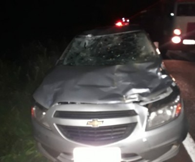 Cavalo solto na pista causa acidente na BR-262