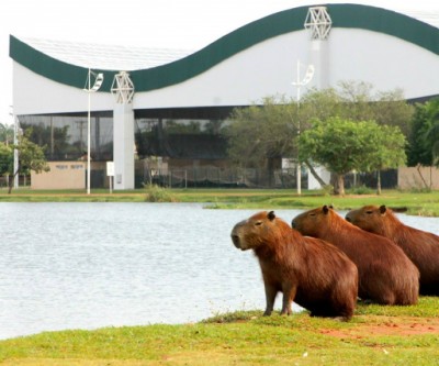 Temperatura se eleva em todo o Estado nesta quinta-feira e máxima atinge 26ºC em Três Lagoas 