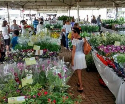 9ª Expo Flor APAE vai até o dia 11 em Três Lagoas 