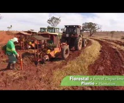 Vídeo mostra evolução das obras de ampliação da Fibria em Três Lagoas