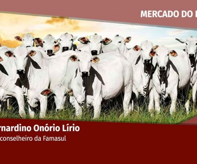 Falta de concorrência trava venda de de animais. JBS é responsável por 80% da demanda