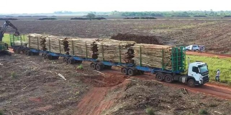 Governo autoriza circulação de hexatrens de megafábrica de celulose em Três Lagoas e Ribas do Rio Pardo
