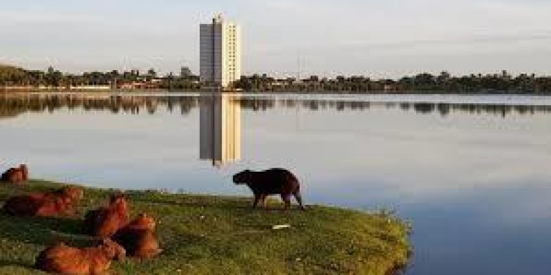Sol predomina e calor ganha força em Três Lagoas e região; veja a previsão para esta terça-feira