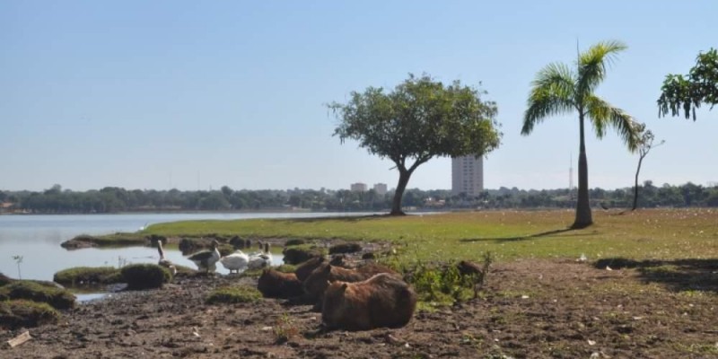 Veja como fica o tempo nesta quarta-feira em Três Lagoas e região
