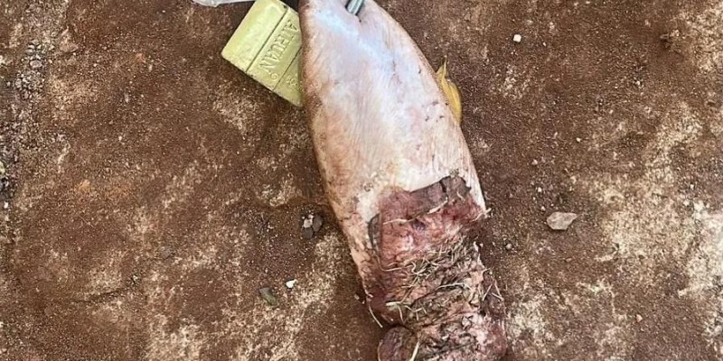 Jovem recebe língua de vaca com cadeado em frente de casa no Paraguai 