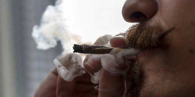 Maconha está ultrapassando álcool e cigarro? 16% dos brasileiros com 14 anos ou mais já experimentaram maconha