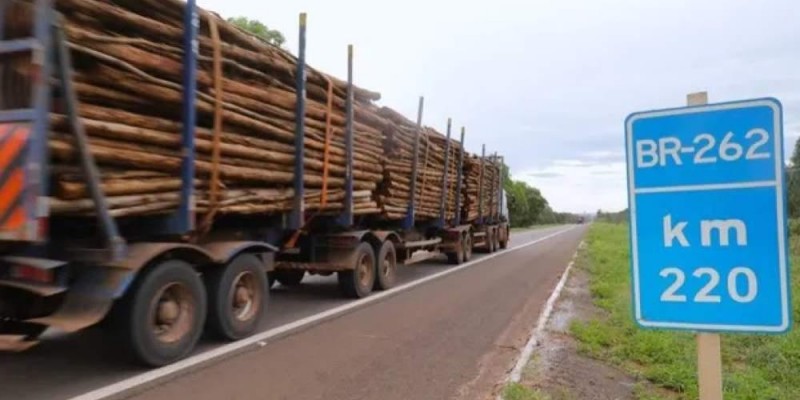 Longe dos filhos para garantir o pão: Caminhoneiros e motoristas de ônibus de Três Lagoas passam Dia dos Pais na estrada