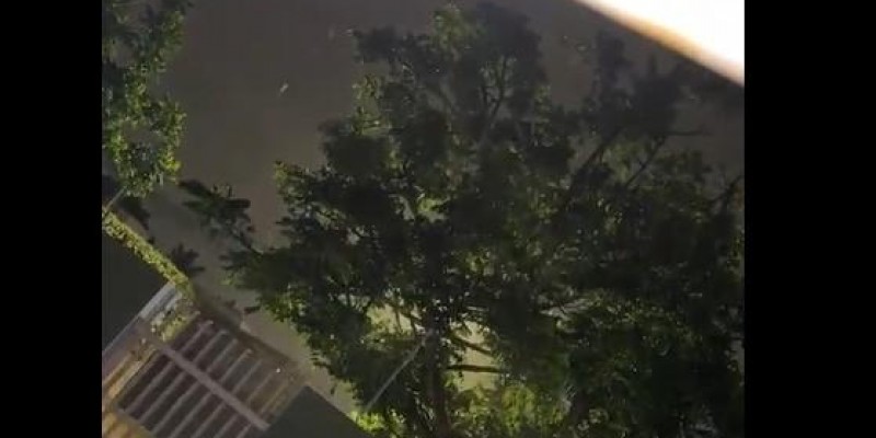 VEJA O VÍDEO: Moradora agradece a Deus pela chegada da chuva em Três Lagoas