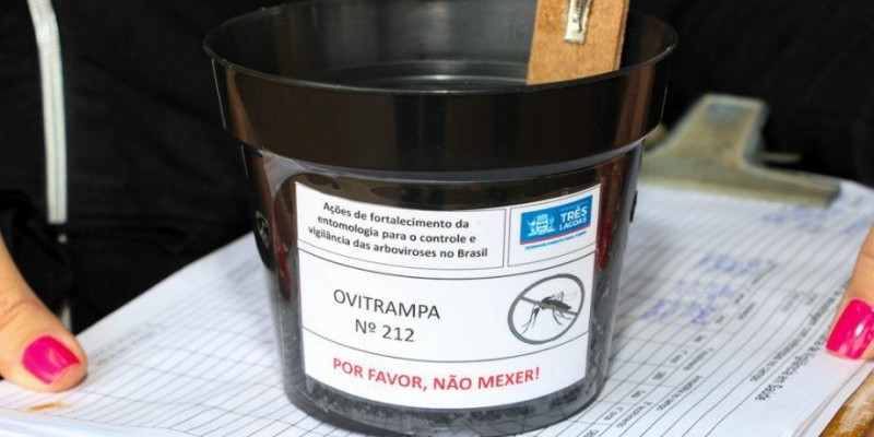 Alerta em Três Lagoas! Quase 13 mil ovos do mosquito da dengue são encontrados em armadilhas espalhadas pela cidade