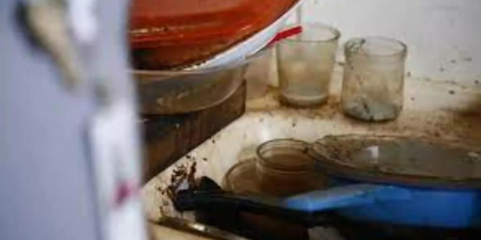 Mais um caso revoltante: Crianças de 3 e 4 anos são encontradas em casa com fezes, vômito e restos de comida
