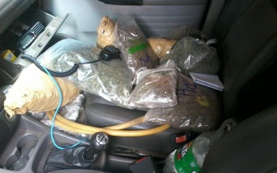 Polícia prende 2 homens com sementes de maconha e 796 kg da droga em MS