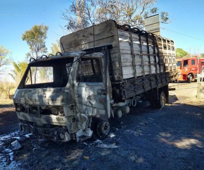Em Costa Rica, caminhão boiadeiro pega fogo e motorista consegue salvar bovino