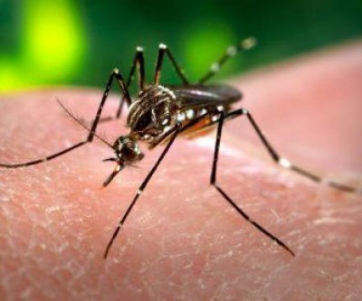 Boletim epidemiológico apresenta 22 casos suspeitos de dengue nesta 27ª semana em Três Lagoas