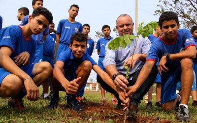 ONU reconhece TL como uma das 34 cidades do Brasil com gestão de excelência em arborização