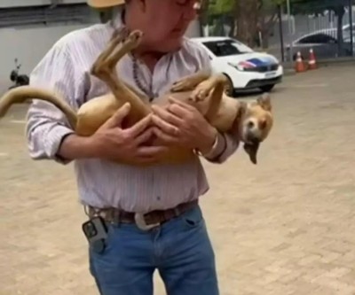 Prefeito Angelo Guerreiro se despede do cargo: futuro das redes sociais, da vida política e do mascote Perigoso fica em aberto