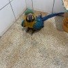 - Foto 2  - Foto 2