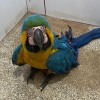 - Foto 3  - Foto 3