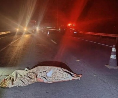 Mulher morre atropelada e motorista foge sem prestar socorro na BR-267, em Bataguassu