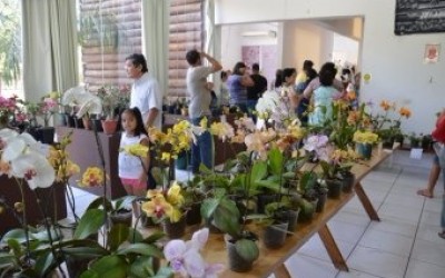 Diretoria Municipal de Cultura realizará exposição e feira de Orquídeas