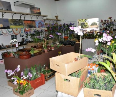 Exposição de Orquídeas vai até sábado na Casa do Artesão