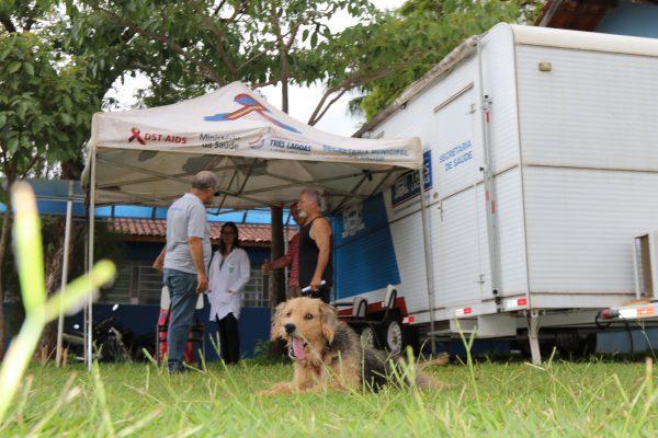 Equipe do Castramóvel inicia atendimento na Escola da Vila Piloto