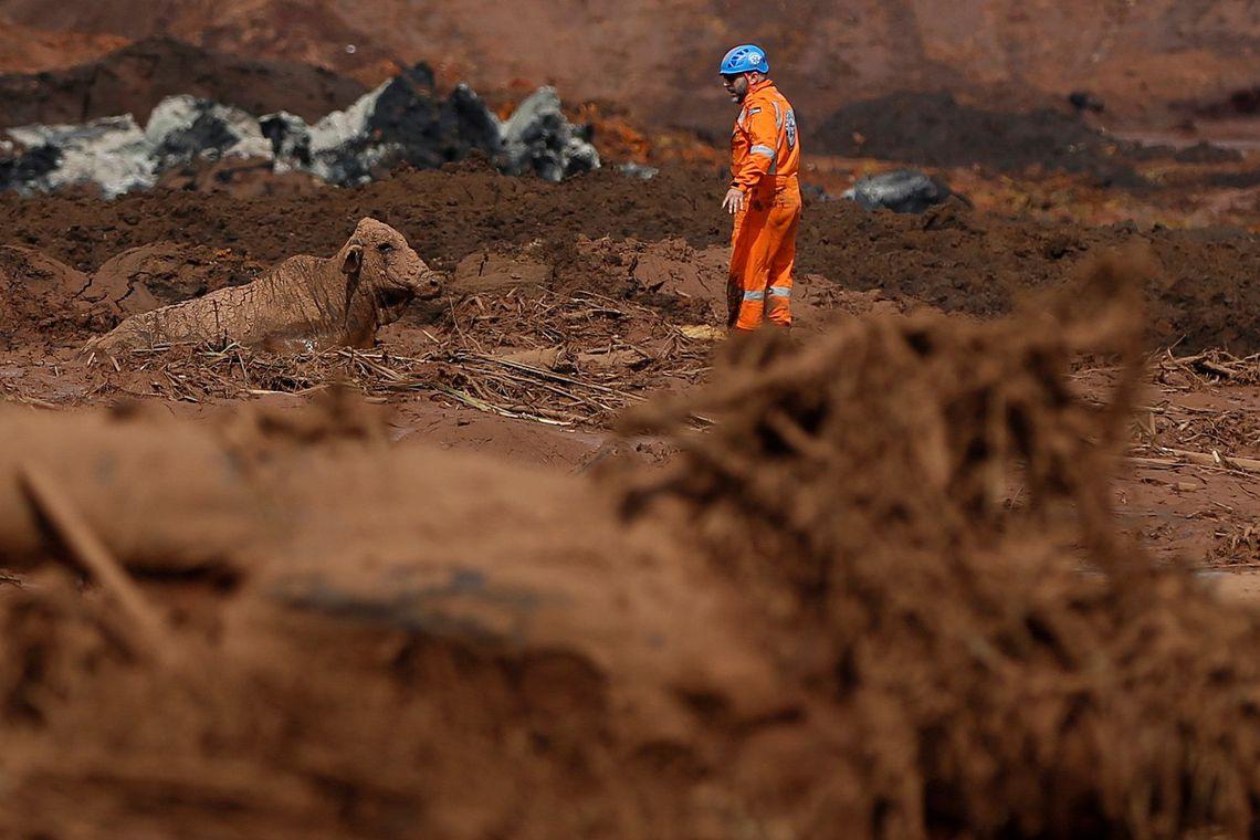 Número de mortos em Brumadinho sobe para 186