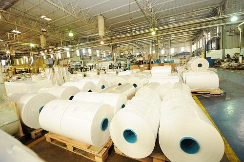 Celulose sustenta balança comercial de MS com 50,3% da exportação