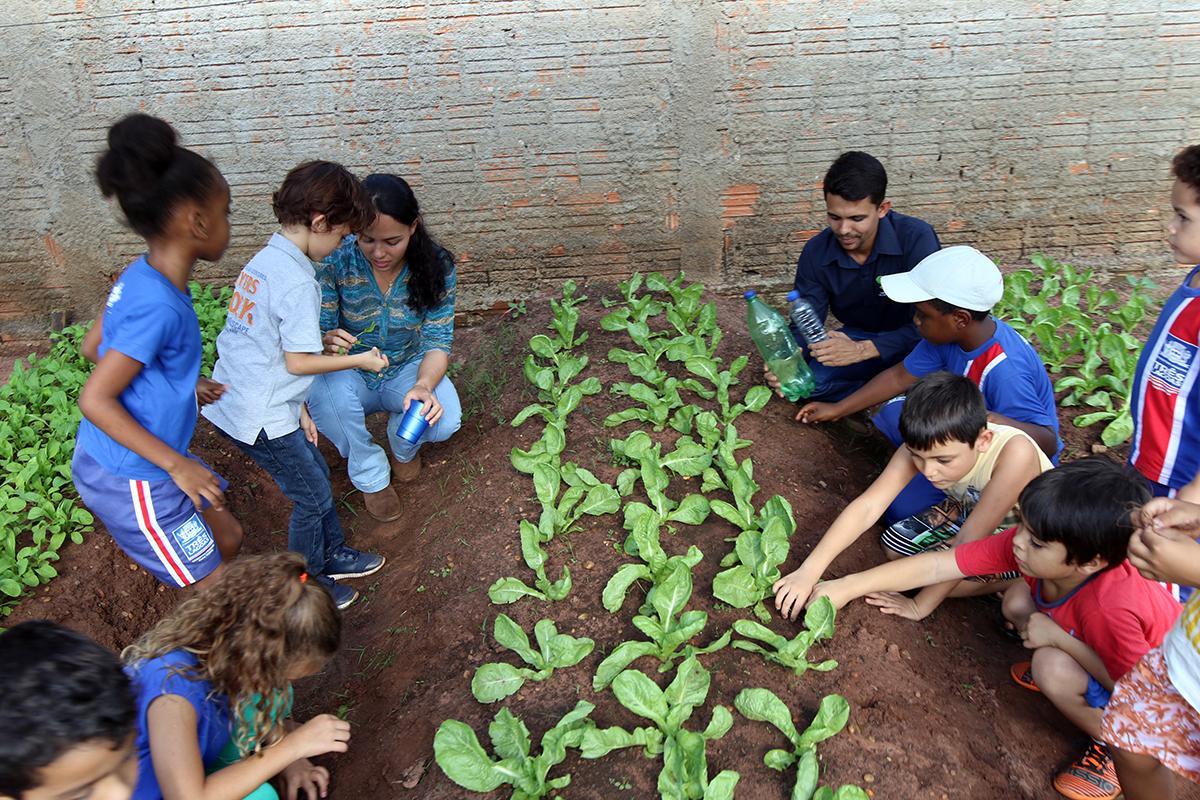 Cerca de 300 alunos da E.M. “Júlio Colino” participam de projeto em prol das famílias da Vila Vicentina Cerca de 300 alunos da E.M. “Júlio Colino” participam de projeto em prol das famílias da Vila Vicentina