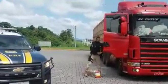 Cocaína avaliada em R$ 6 milhões que abasteceria comércio no Carnaval é apreendida pela PRF