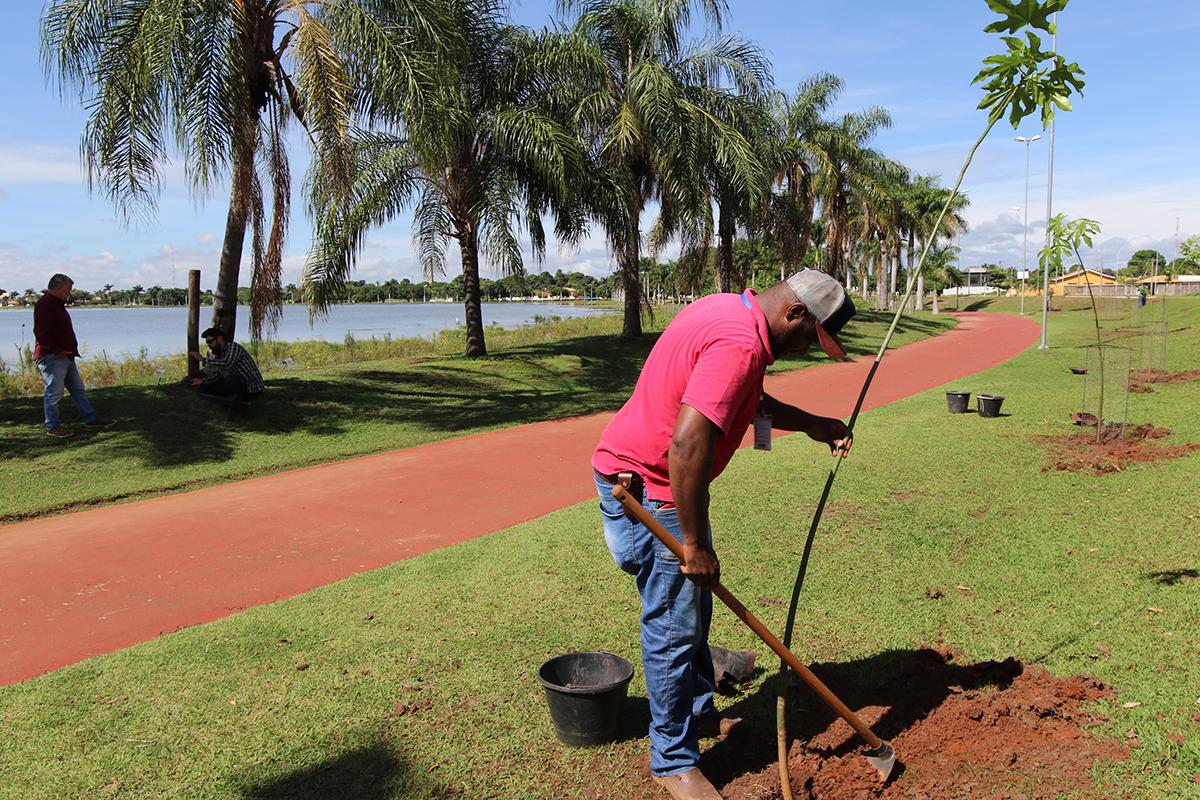 SEMEA realiza plantio de mais árvores em volta da pista de caminhada da Lagoa Maior SEMEA realiza plantio de mais árvores em volta da pista de caminhada da Lagoa Maior