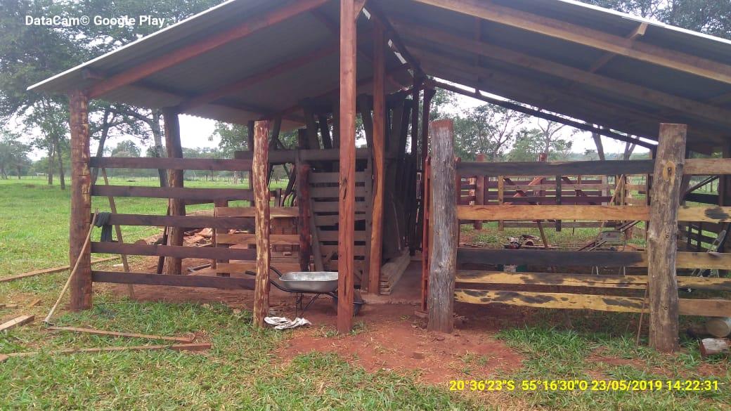 Assentado é autuado em R$ 2 mil por derrubada ilegal de árvores nativas 