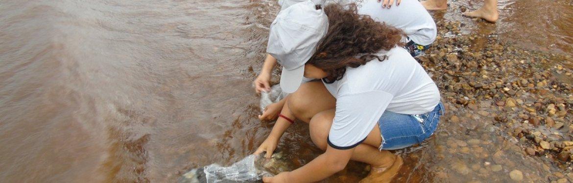 Dia Mundial do Meio Ambiente: Empresa solta 1 milhão de peixes no Rio Paraná