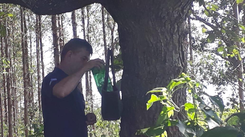 Saúde de Três Lagoas monitora Aedes aegypti na zona rural e margens dos rios Saúde de Três Lagoas monitora Aedes aegypti na zona rural e margens dos rios