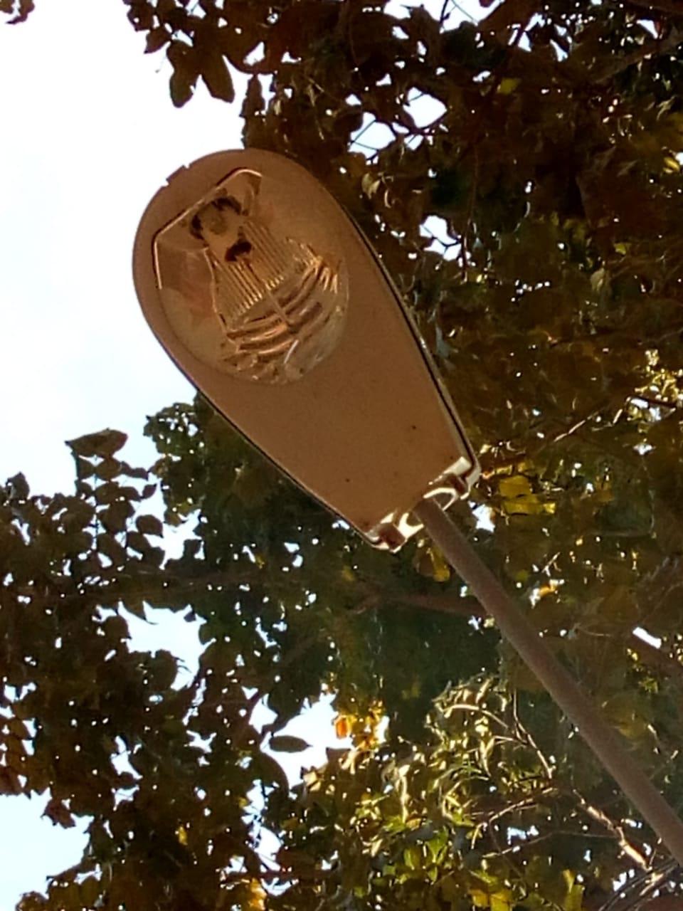 Atos de vandalismo geraram prejuízo de mais de R$ 30 mil este ano Atos de vandalismo geraram prejuízo de mais de R$ 30 mil este ano