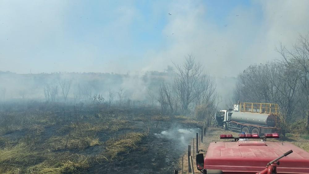 Incêndio atinge área de pastagem que abriga o Friboi em Andradina Incêndio atinge área de pastagem que abriga o Friboi em Andradina