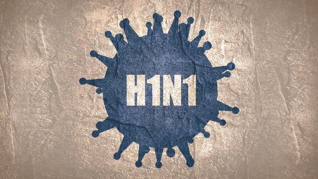 Sem novos casos confirmados, Boletim Epidemiológico de Gripe Influenza A segue inalterado