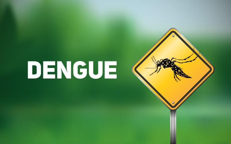 Três Lagoas registra aumento no número de casos notificados suspeitos de Dengue Três Lagoas registra aumento no número de casos notificados suspeitos de Dengue