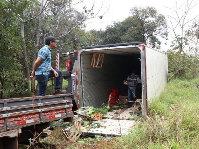 Motorista tenta desviar de capivara e tomba caminhão na MS-040 Motorista tenta desviar de capivara e tomba caminhão na MS-040